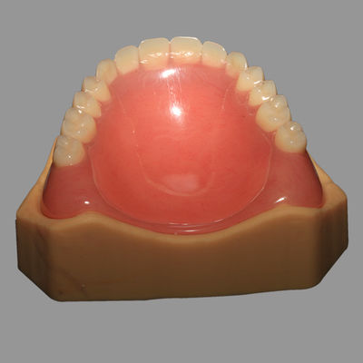 kopen Volledige acrylprothese gieten, volledig gevormd, warmtehardend online manufacture