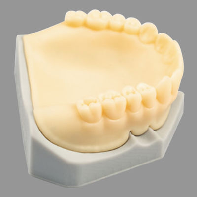 Buy Digital 3D Printed Denture Try In With Smooth Surface Finished online manufacture