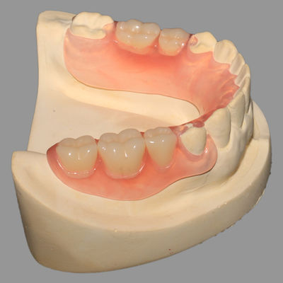 Buy Casting Pink TCS Flexible Partials with Excellent Retention online manufacture