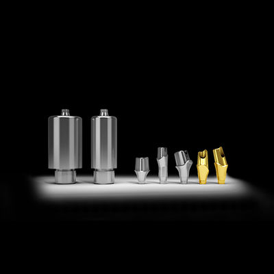buy Implant Dental Lab | Silver Custom Titanium Abutments Dental Implants With Full Zirconia Crown online manufacture